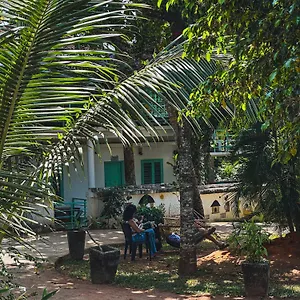 https://mollys.kerala-hotels.net
