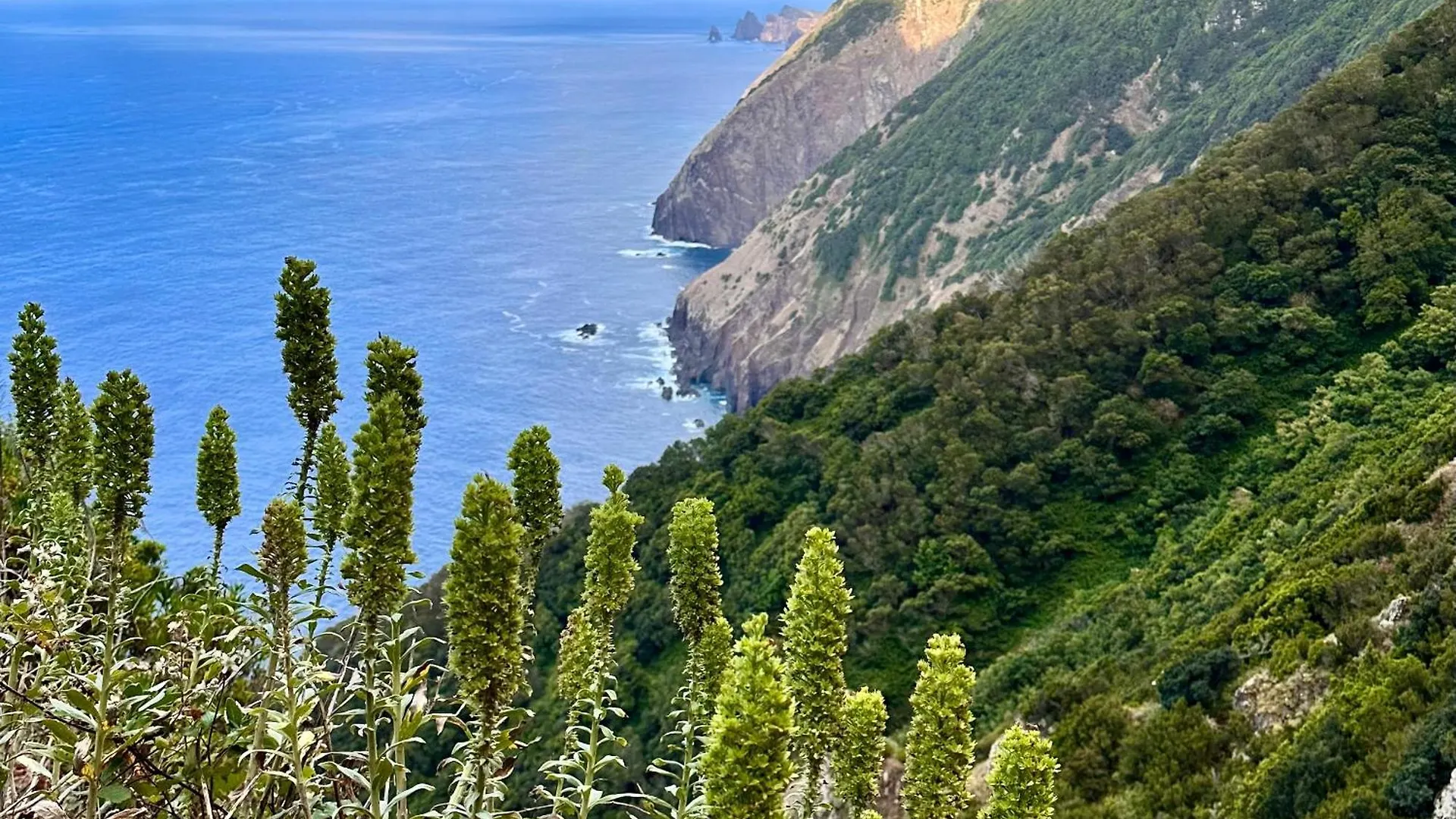 Getaway To Blue Paradise At Madeira Island Funchal  Apartment Funchal (Madeira)